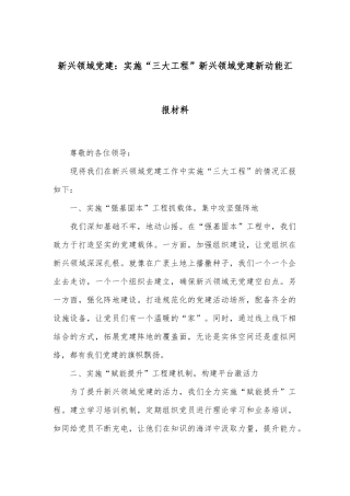 新兴领域党建：实施“三大工程”新兴领域党建新动能汇报材料