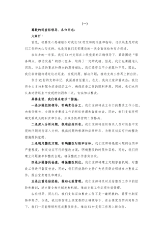 巡查支部书记表态发言