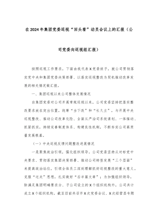 在2024年集团党委巡视“回头看”动员会议上的汇报（公司党委向巡视组汇报）