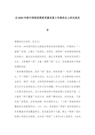 在2024年新兴领域党建高质量发展工作推进会上的交流发言