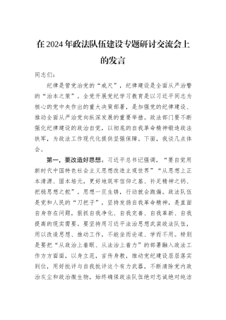在2024年政法队伍建设专题研讨交流会上的发言