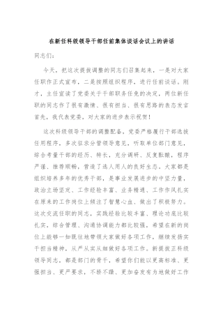 在新任科级领导干部任前集体谈话会议上的讲话