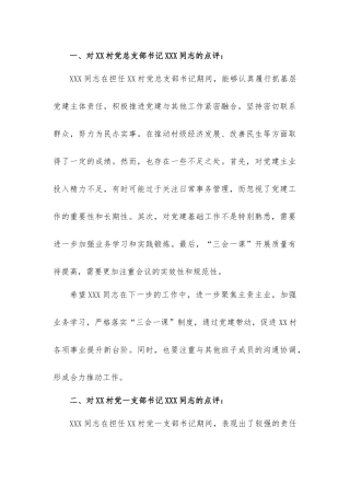 镇20XX年度村党组织书记抓基层党建述职评议会议点评材料