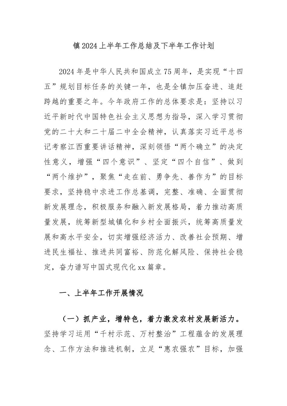镇2024上半年工作总结及下半年工作计划_第1页