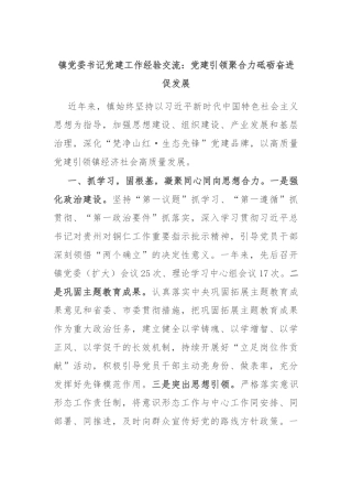 镇党委书记党建工作经验交流：党建引领聚合力 砥砺奋进促发展