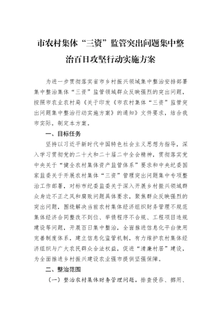 市农村集体“三资”监管突出问题集中整治百日攻坚行动实施方案