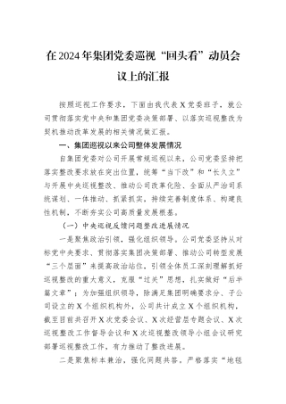 在2024年集团党委巡视“回头看”动员会议上的汇报
