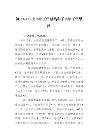 镇2024年上半年工作总结和下半年工作思路
