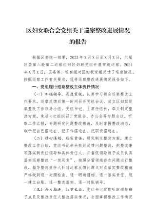 区妇女联合会党组关于巡察整改进展情况的报告
