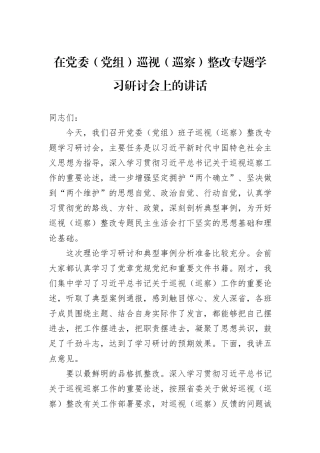 在党委（党组）巡视（巡察）整改专题学习研讨会上的讲话