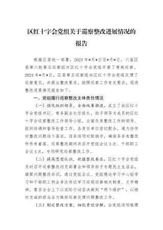 区红十字会党组关于巡察整改进展情况的报告