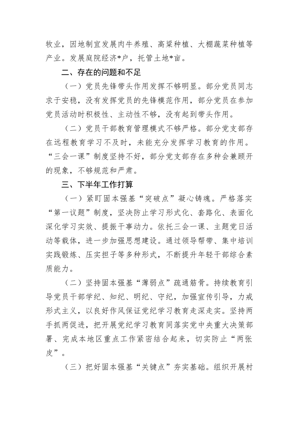 乡镇2024年上半年基层党建工作总结_第3页