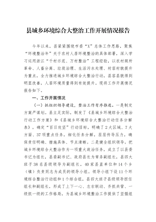 县城乡环境综合大整治工作开展情况报告