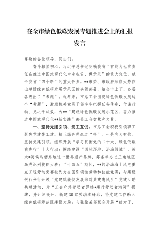 在全市绿色低碳发展专题推进会上的汇报发言