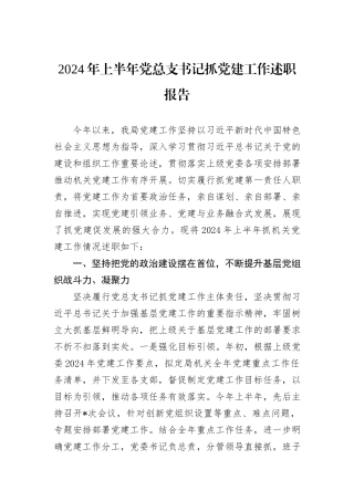 2024年上半年党总支书记抓党建工作述职报告