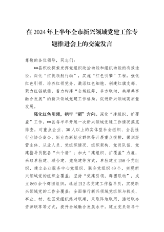 在2024年上半年全市新兴领域党建工作专题推进会上的交流发言
