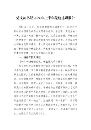 党支部书记2024年上半年党建述职报告