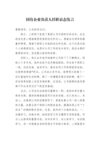 国有企业负责人任职表态发言