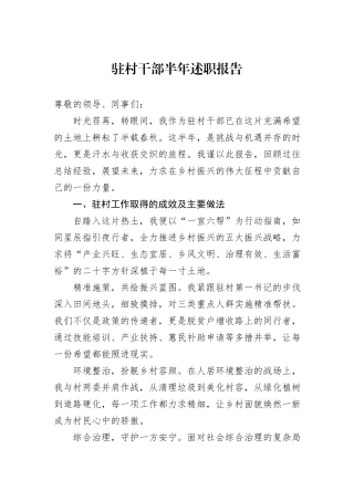 驻村干部半年述职报告