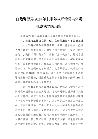 自然资源局2024年上半年从严治党主体责任落实情况报告