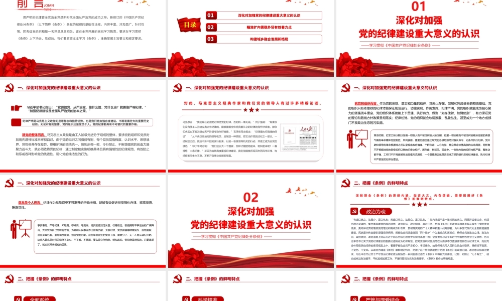 2024 做学纪知纪明纪守纪的模范学习《中国共 产 党纪律处分条例》微党课PPT