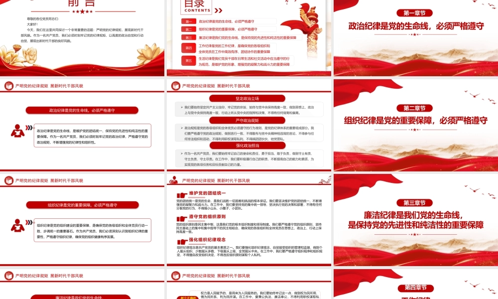2024严明党的纪律规矩展新时代干部风貌党政风党纪学习教育课件PPT