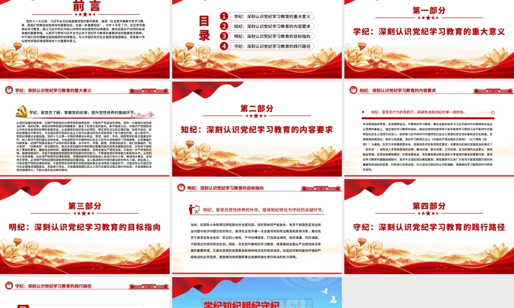 切实开展好党纪学习教育——学纪知纪明纪守纪PPT课件模板