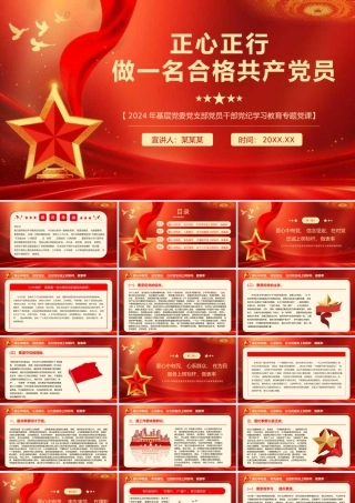 正心正行做一名合格党员党课PPT