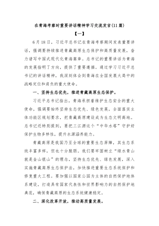 (11篇)在青海考察时重要讲话精神学习交流发言