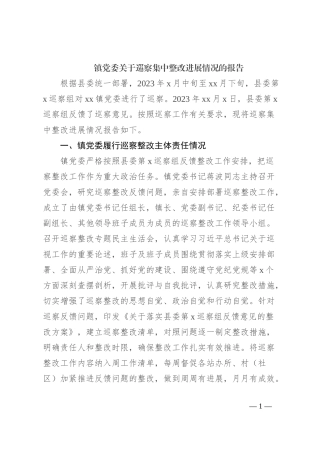 镇党委关于巡察集中整改进展情况的报告