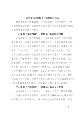 镇党委抓党建促乡村振兴经验做法