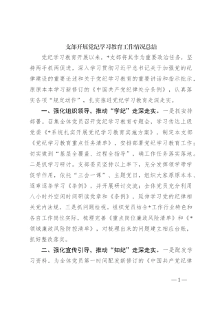 支部开展党纪学习教育工作情况总结