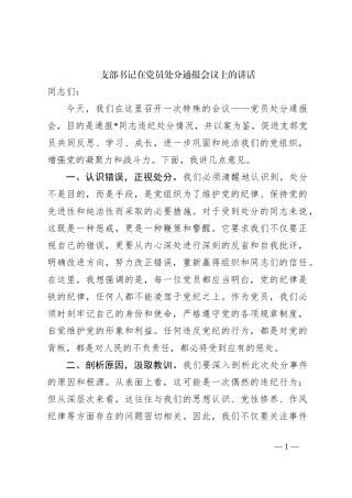 支部书记在党员处分通报会议上的讲话