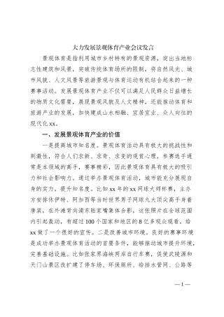 大力发展景观体育产业会议发言