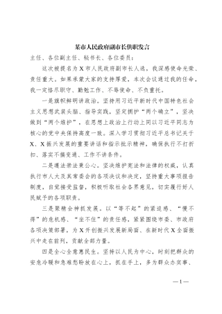 某市人民政府副市长供职发言