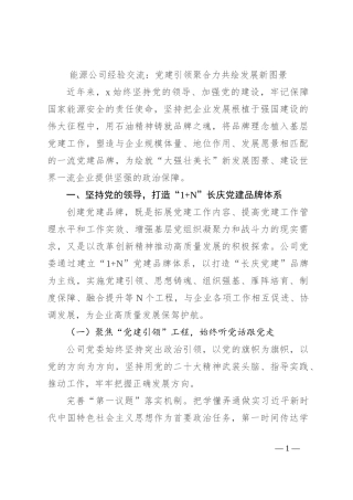能源公司经验交流：党建引领聚合力共绘发展新图景