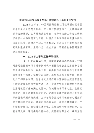 区司法局2024年度上半年工作总结及下半年工作安排