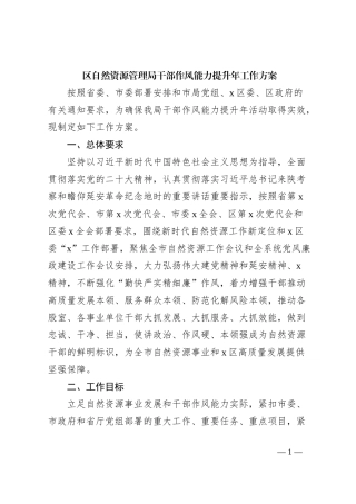 区自然资源管理局干部作风能力提升年工作方案