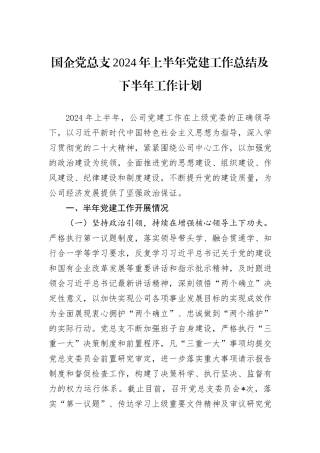 国企党总支2024年上半年党建工作总结及下半年工作计划