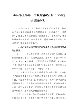 2024年上半年一岗双责情况汇报（国家统计局调查队）