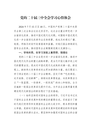 党的二十届三中全会学习心得体会