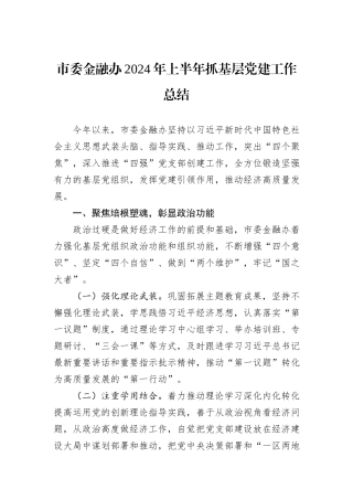 市委金融办2024年上半年抓基层党建工作总结