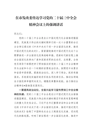 在市发改委传达学习党的二十届三中全会精神会议上的强调讲话