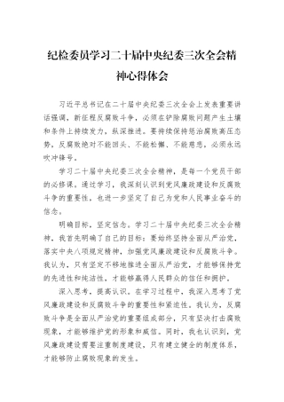 纪检委员学习二十届中央纪委三次全会精神心得体会