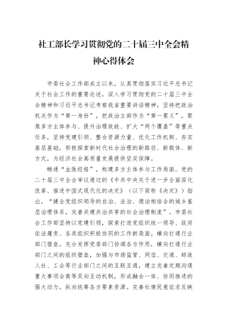 社工部长学习贯彻党的二十届三中全会精神心得体会