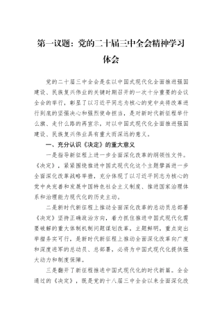 第一议题：党的二十届三中全会精神学习体会