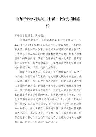 青年干部学习党的二十届三中全会精神感悟