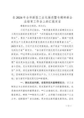 在2024年全市新型工业化推进暨专精特新企业培育工作会上的汇报发言