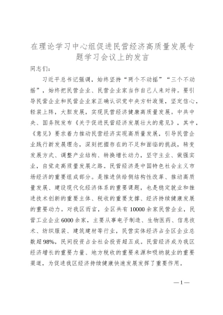 在理论学习中心组促进民营经济高质量发展专题学习会议上的发言