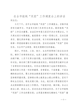 在全市能耗“双控”工作调度会上的讲话